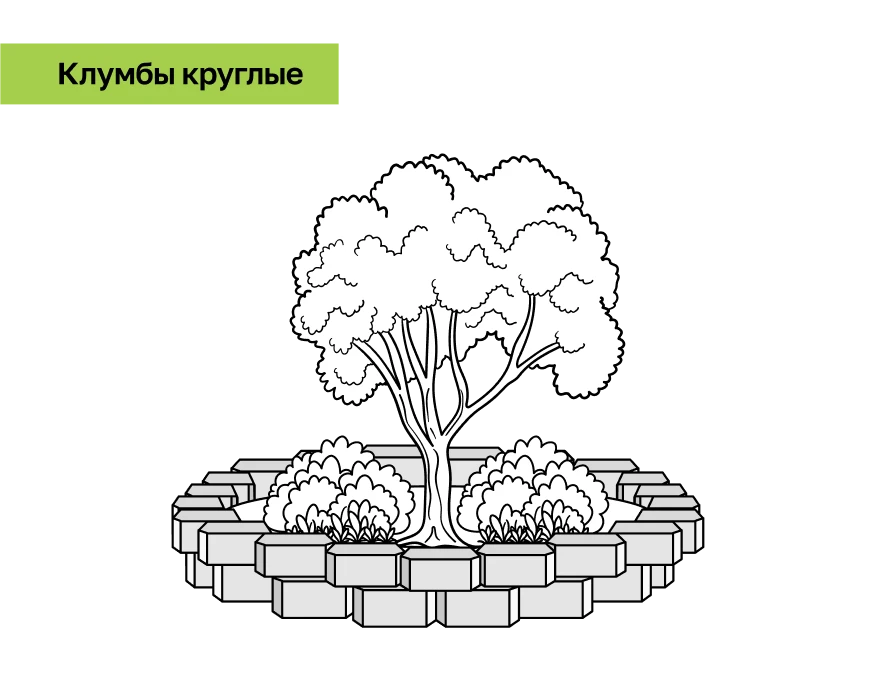 Клубма круглая.png