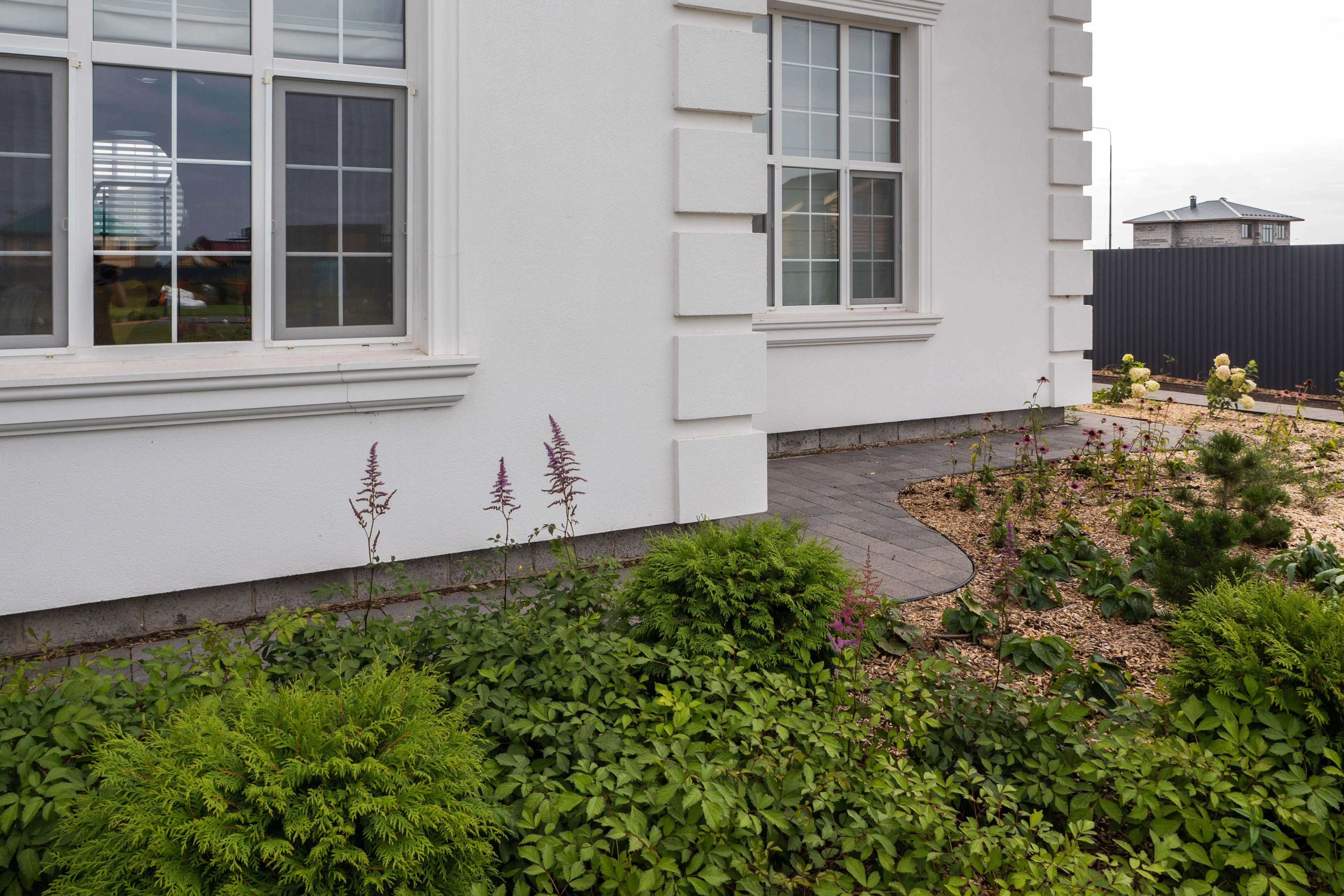 P1035031.jpg P1035031.jpg