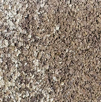 общаястатья5