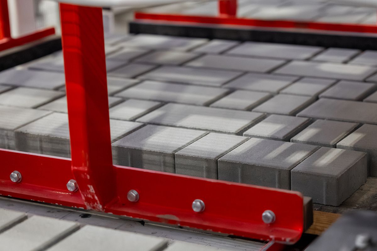 095_2025.09.17_Toli_Brown-min.jpg 095_2025.09.17_Toli_Brown-min.jpg