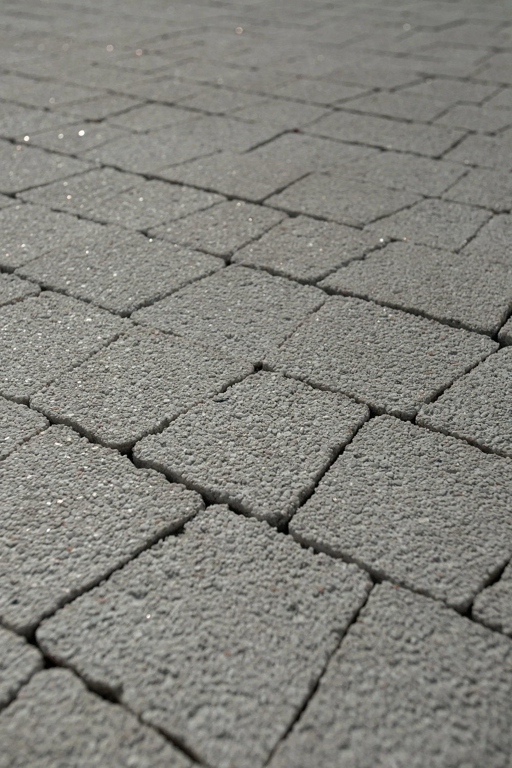 Сквер Медицинских работников в Тюмени