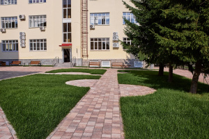 Тротуарная плитка Старый город