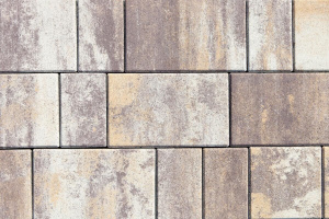 Купите тротуарную плитку Б.1.Фсм.6 - Доломит (бело-бежево-темнокоричневый)